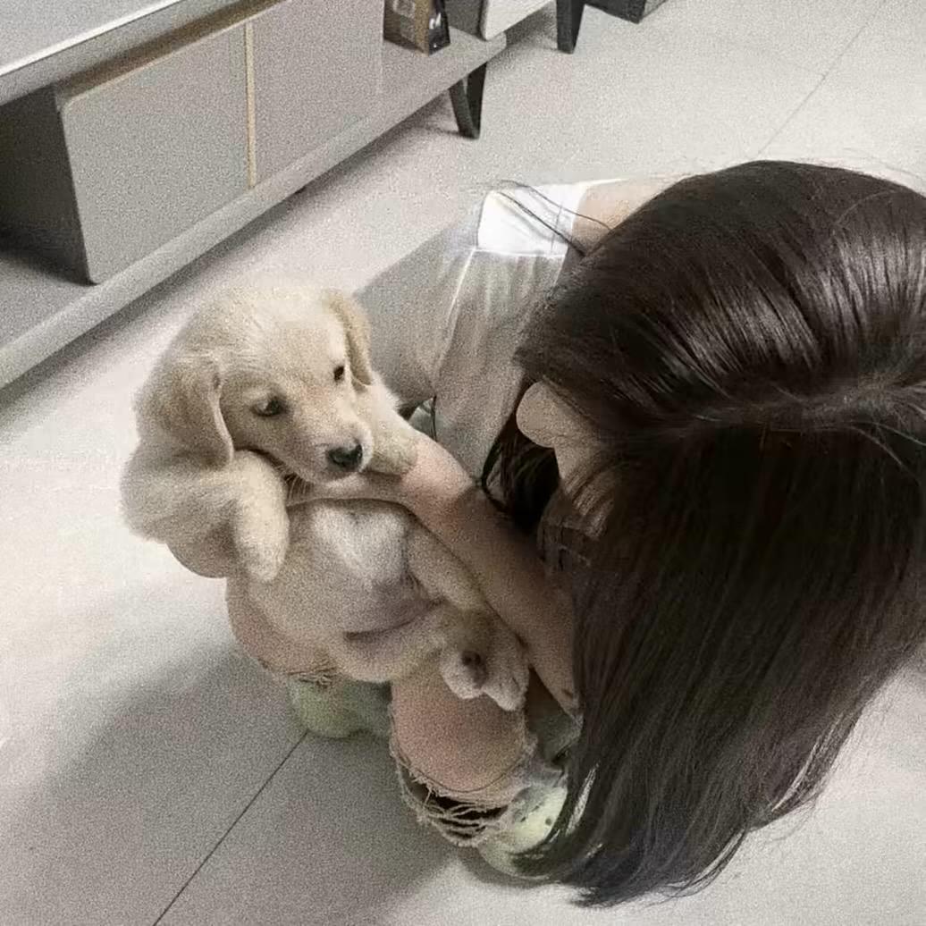 辞宝.
