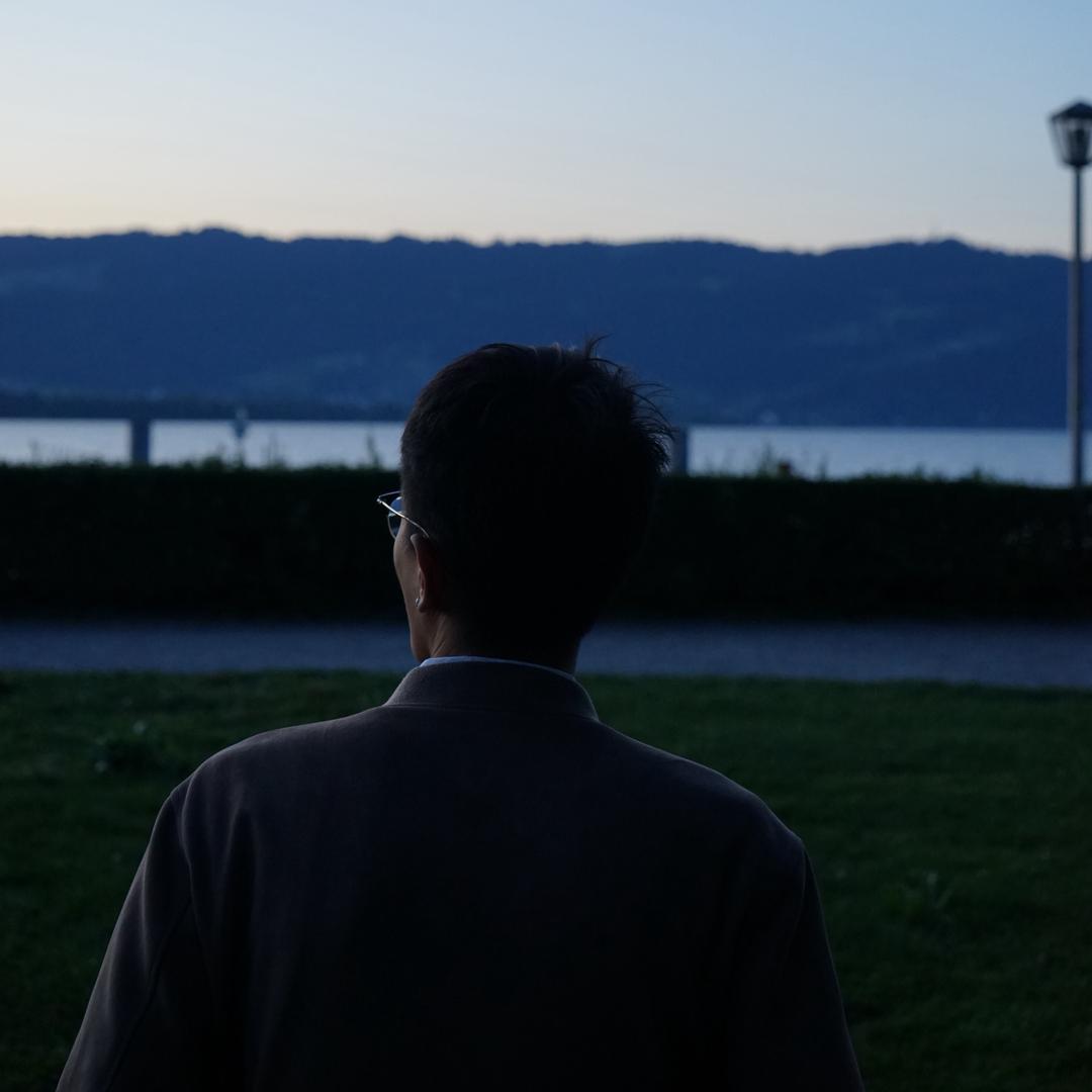 枫
