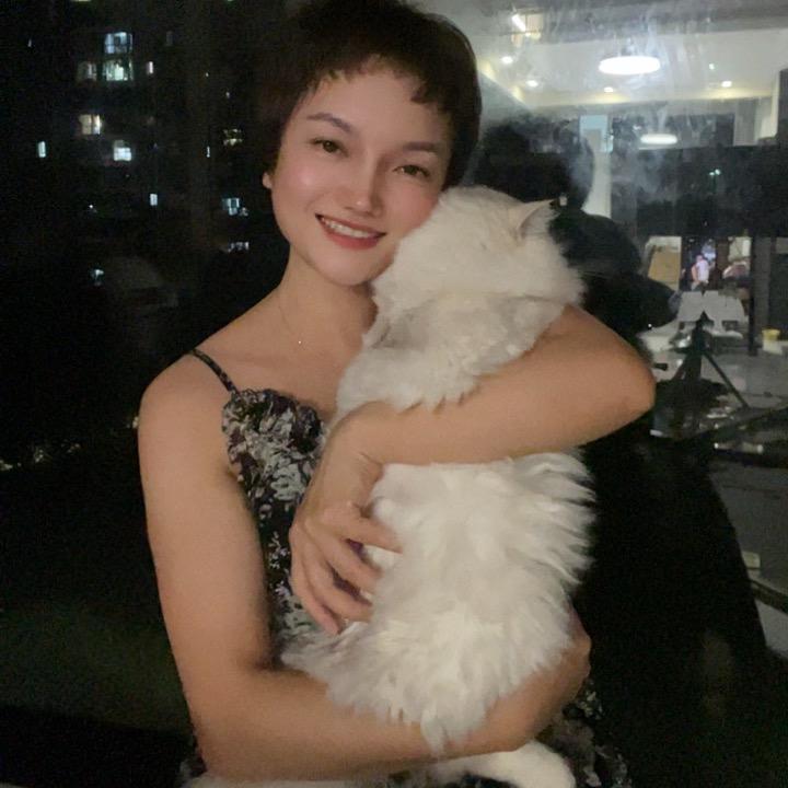 别戳我泡泡