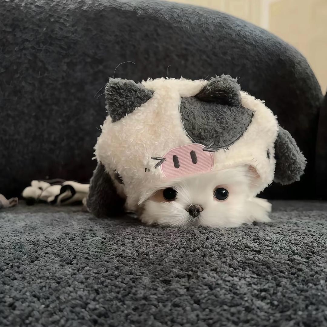 周二