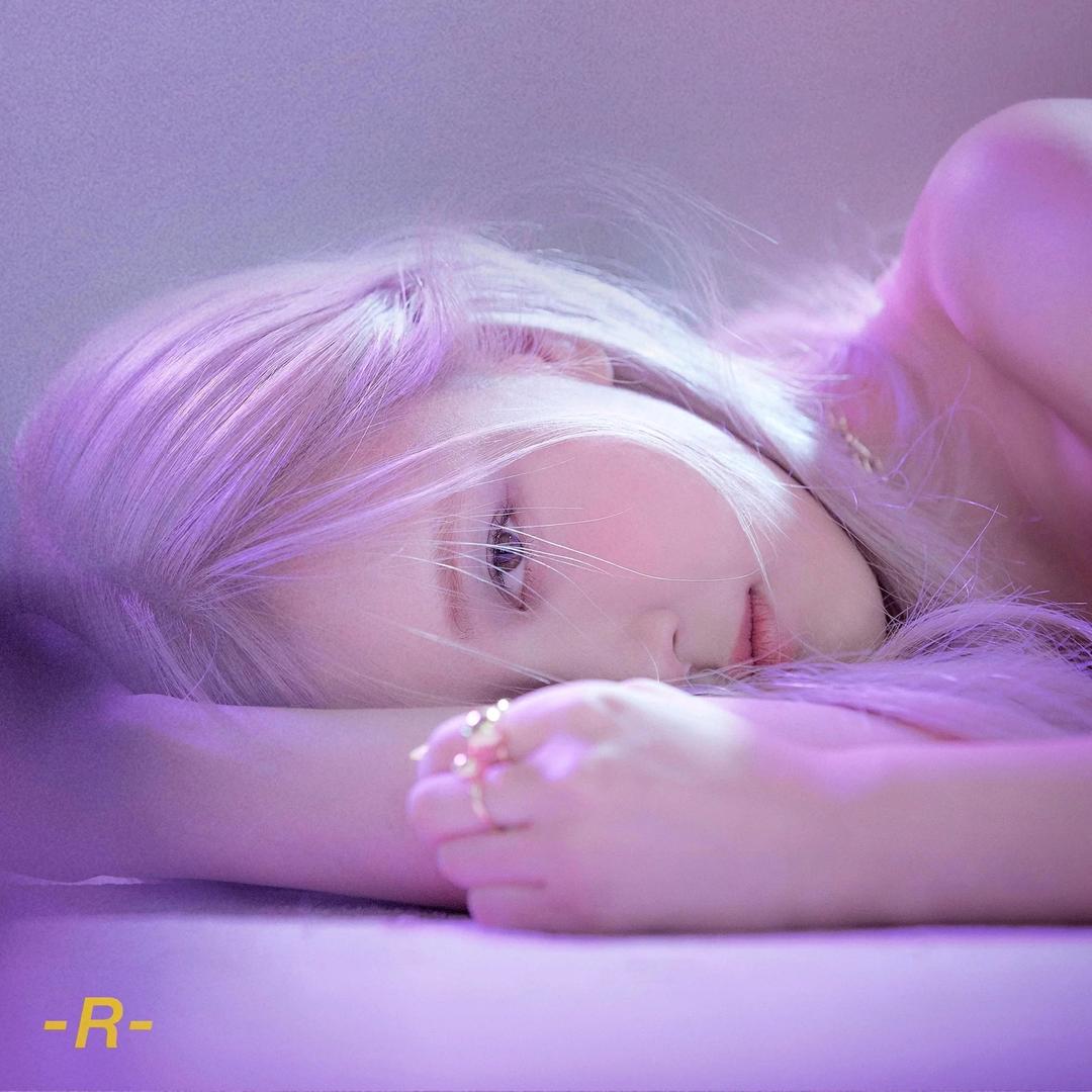 rosé🐱
