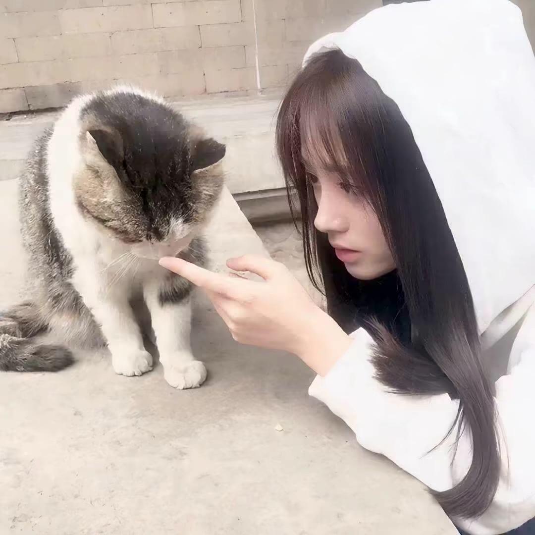 ice^