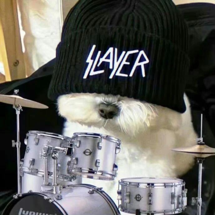 我不是很狗🐕