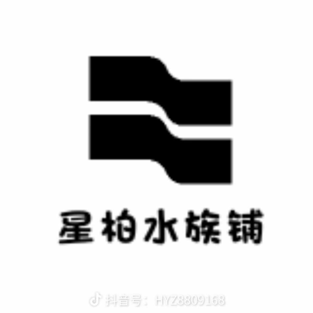 星柏水族铺（七星鱼）