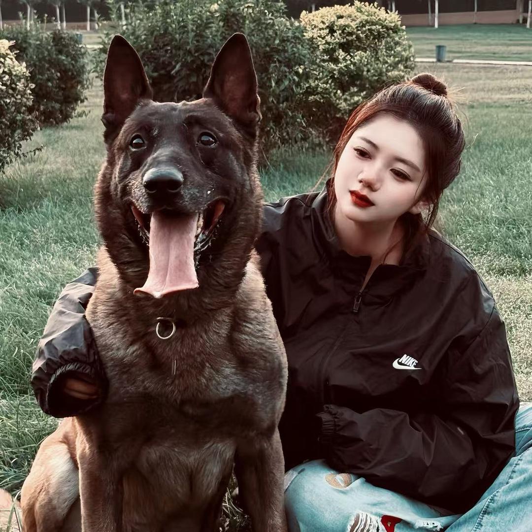 贺祥名犬俱乐部