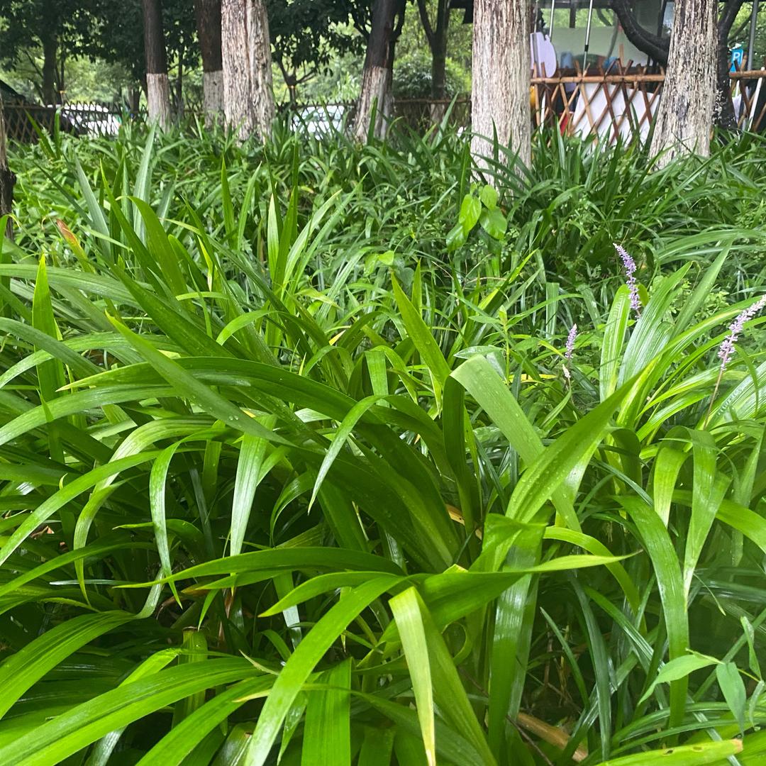 @上饶劲哥