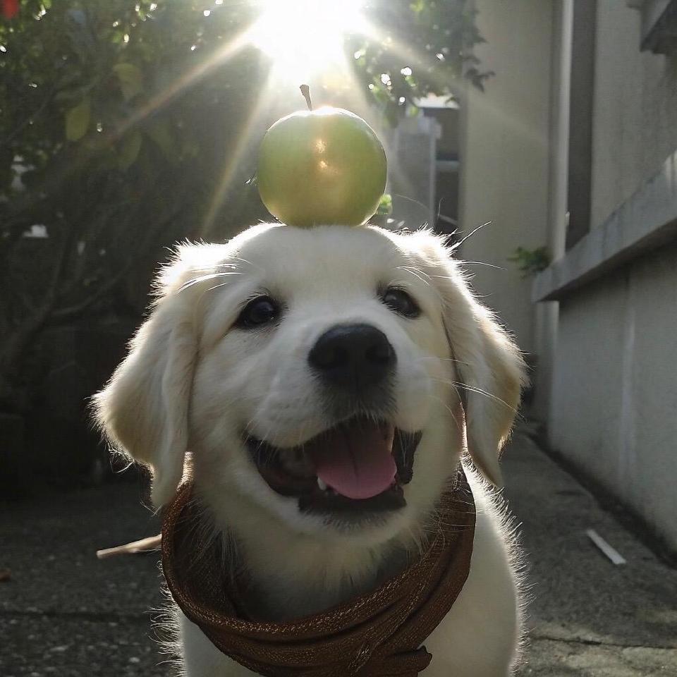 囚笼的萧宇头像
