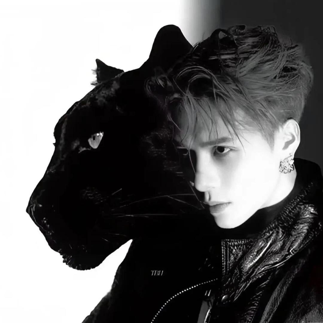 小猪