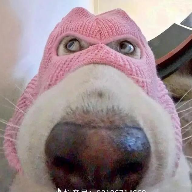 系统提醒你该换网名了