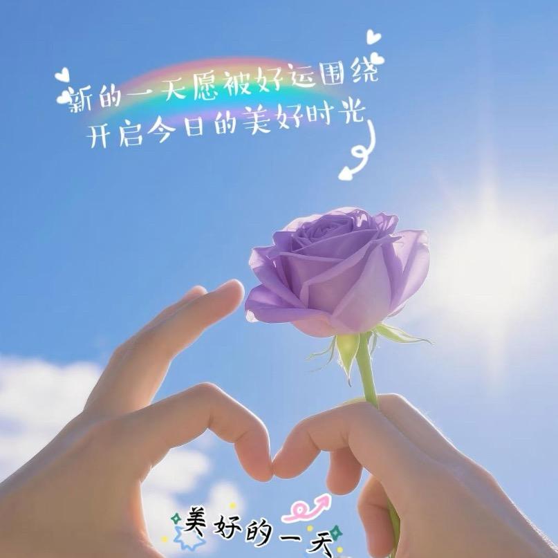 🦅往事随风：