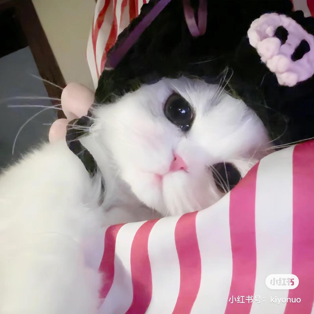 小小梨