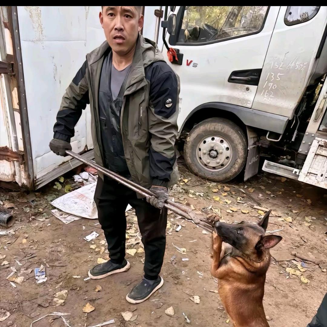 专业套狗三十年