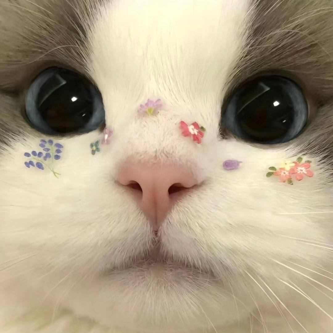 ありがとう美羊羊桑