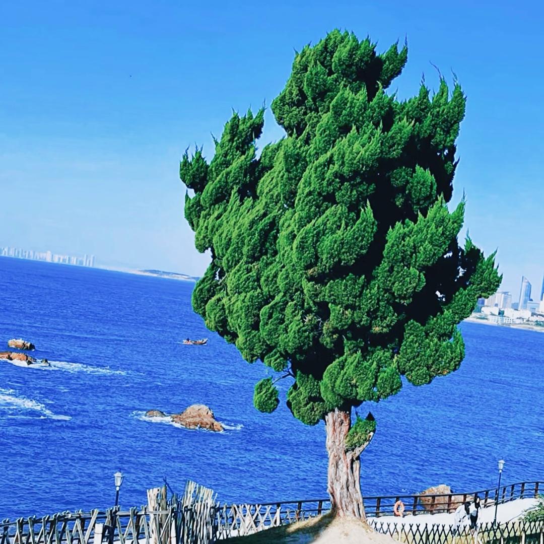 小麦岛公园