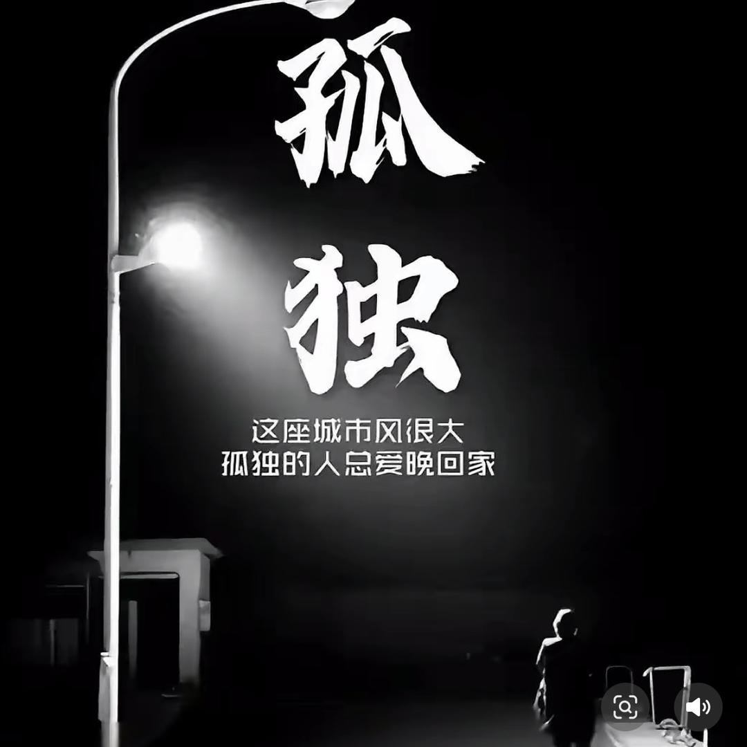 动态6