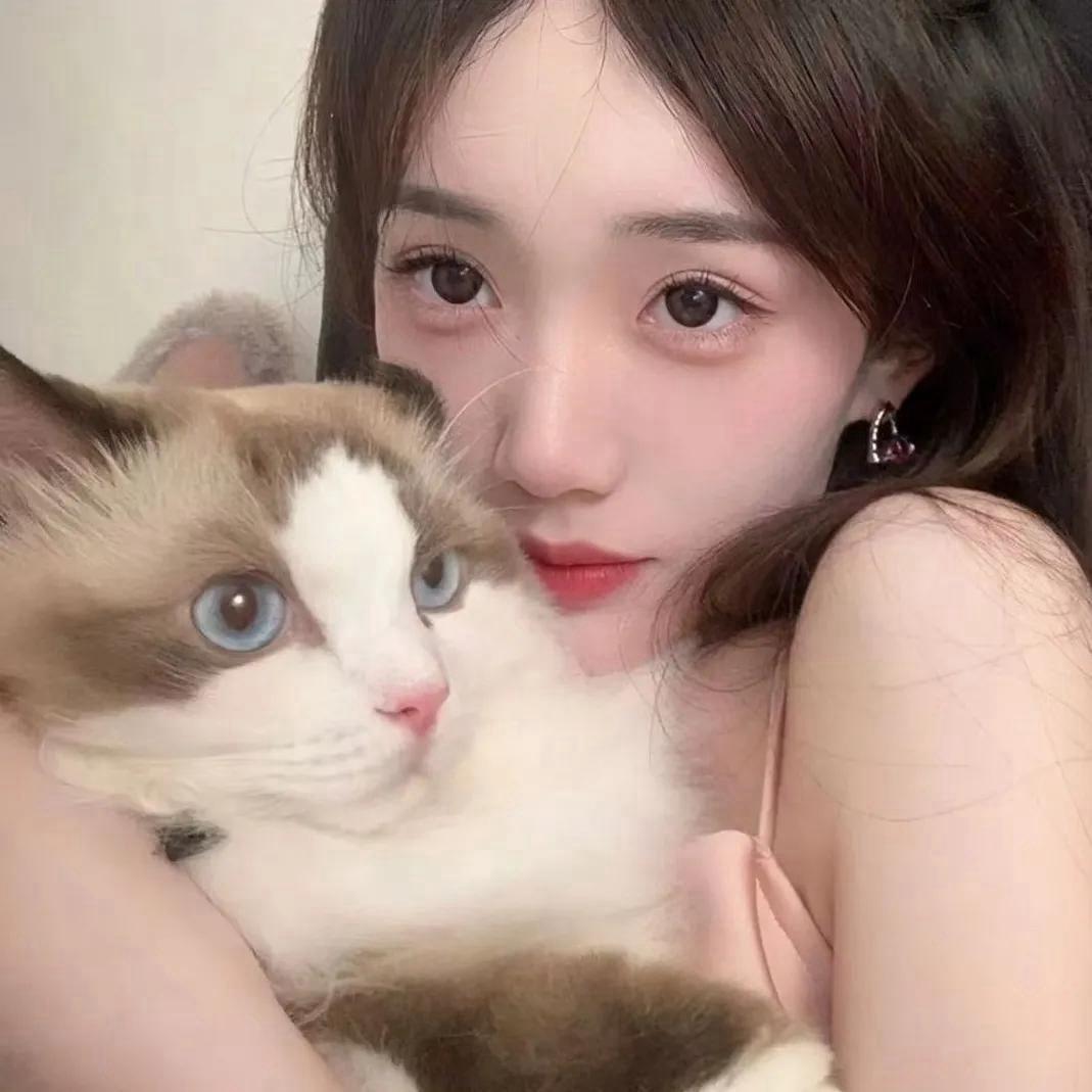 梅宝~