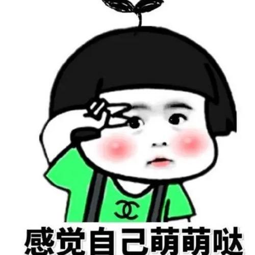 🌈啊毛