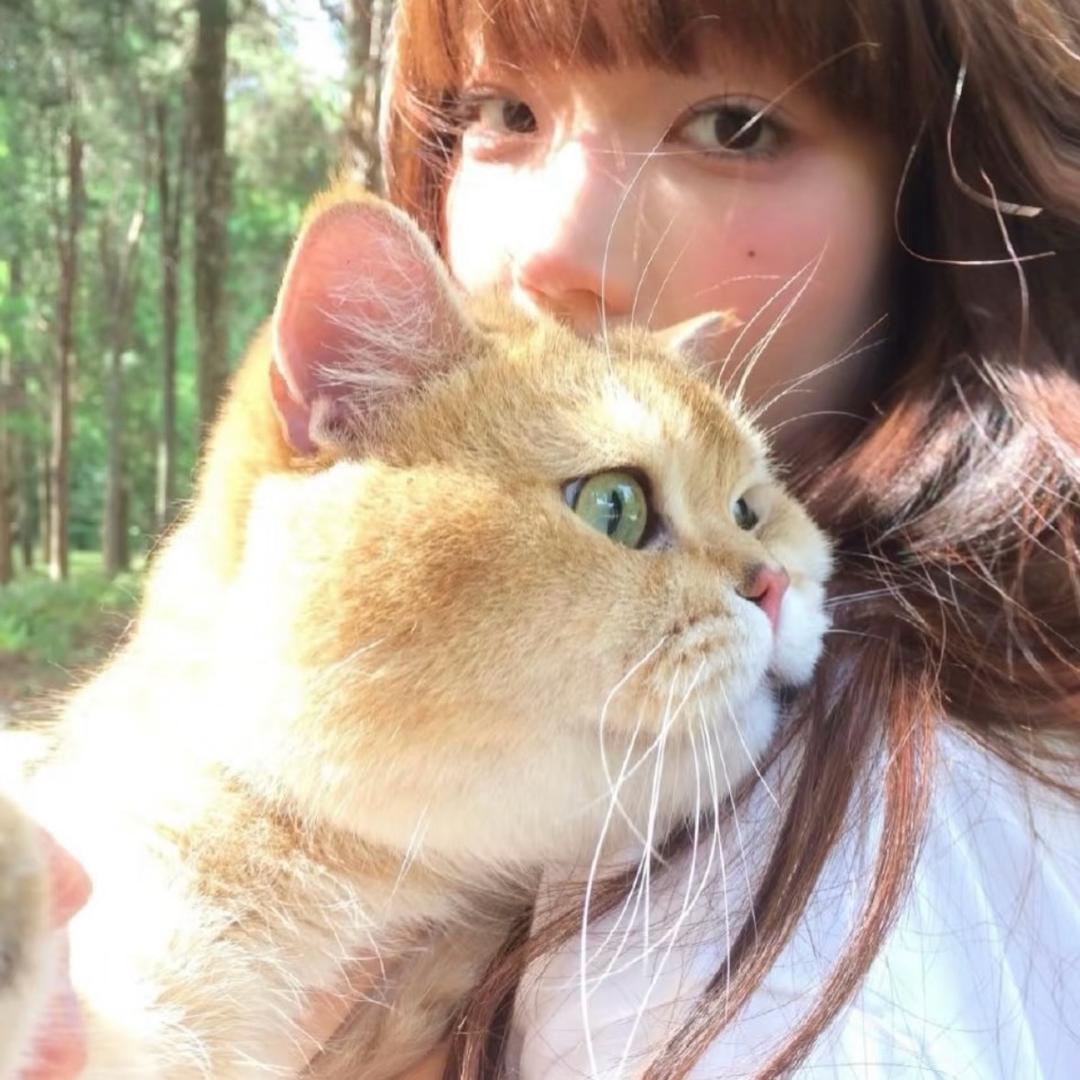 吃鸡蛋只吃蛋黄