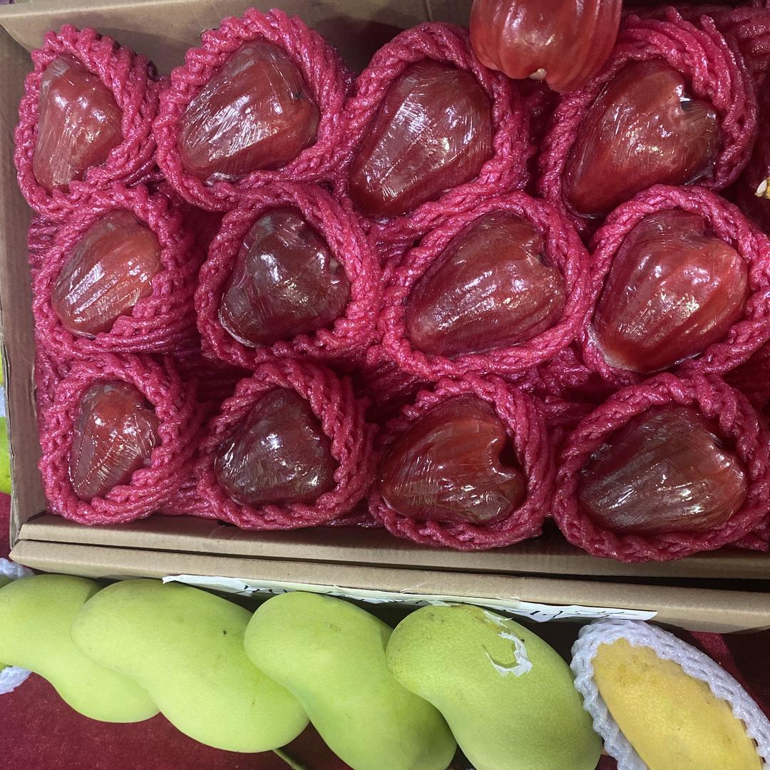 海南水果鲜概念