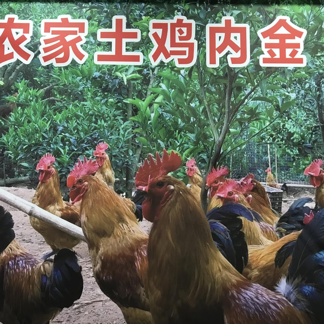 岑幸农家土特产