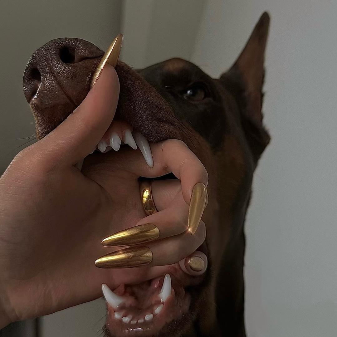 爱美甲的酸菜于🐟