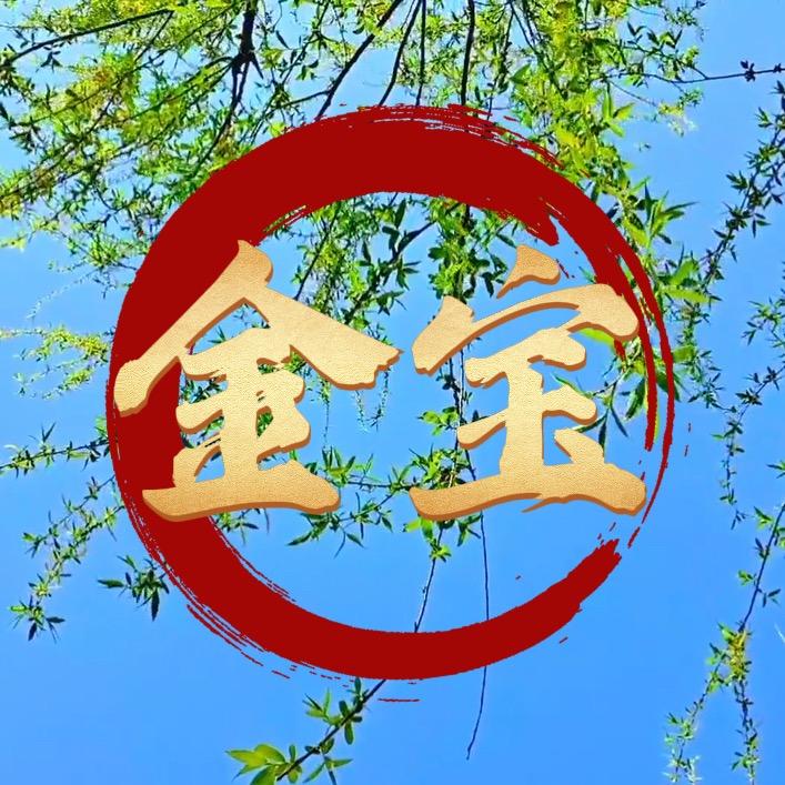 金宝公主