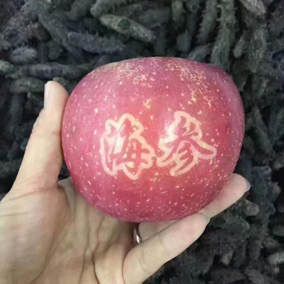 小心宝