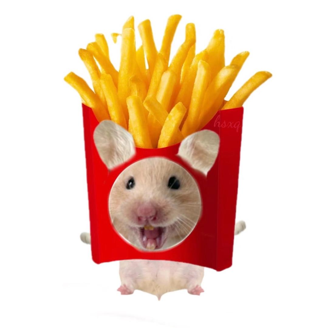 薯条鼠