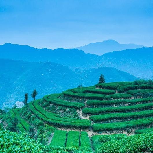 亿依库百货商行