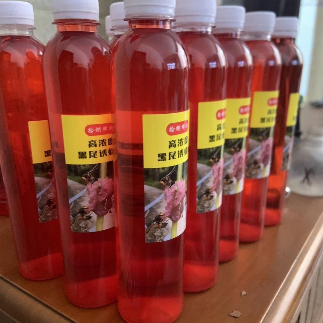 拾捌