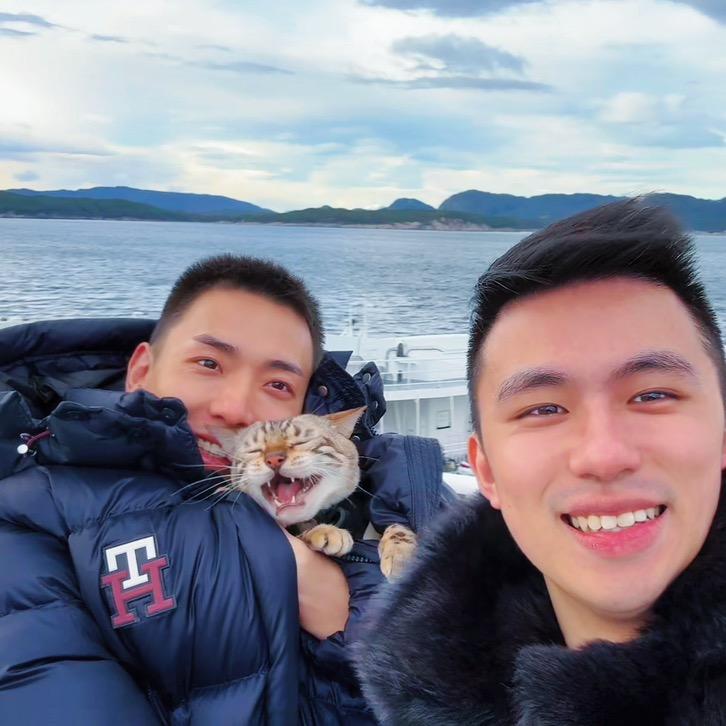 小锋小志的猫咪小院@抖音