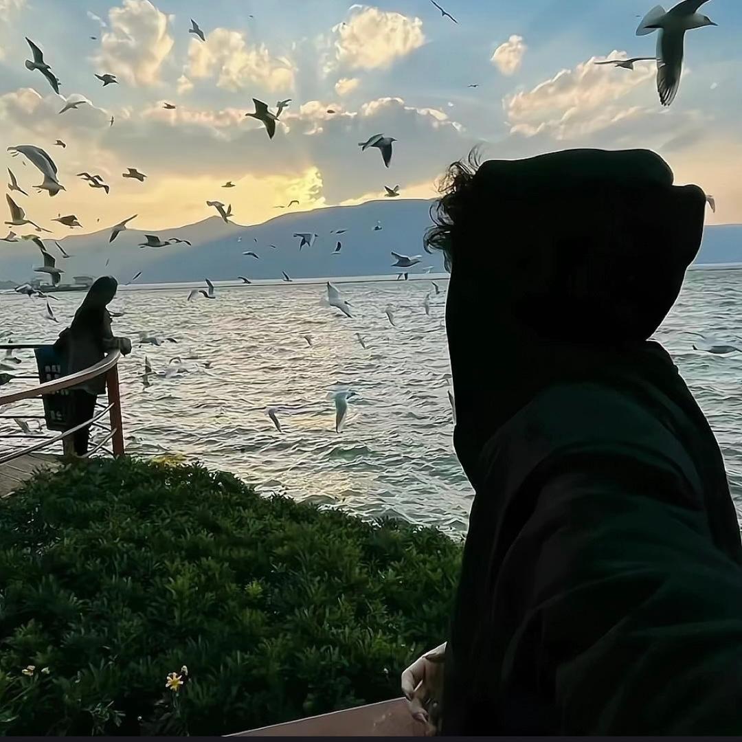 落🐋