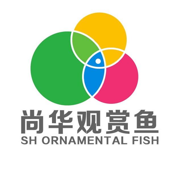 重庆尚华造池官方号