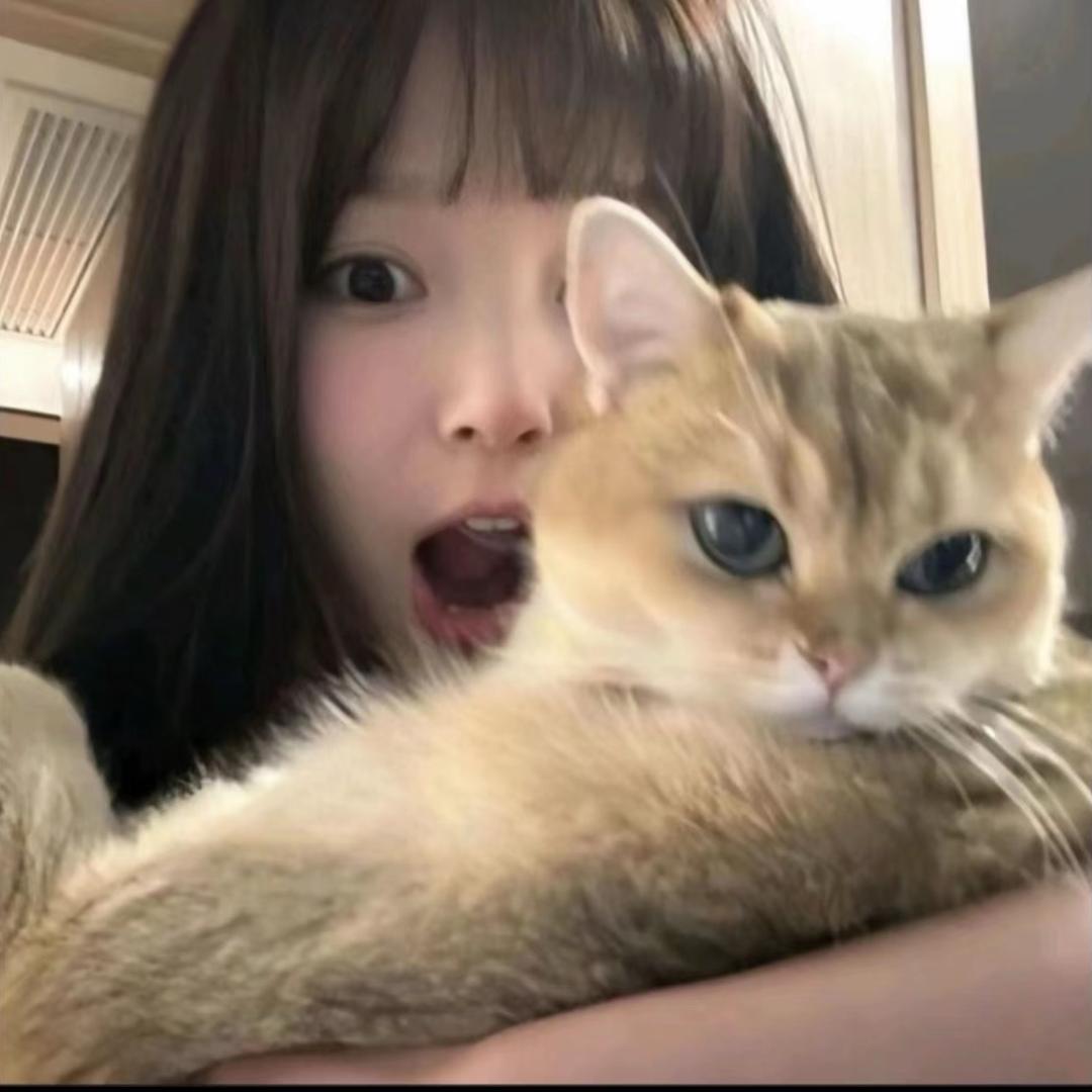 臭宝