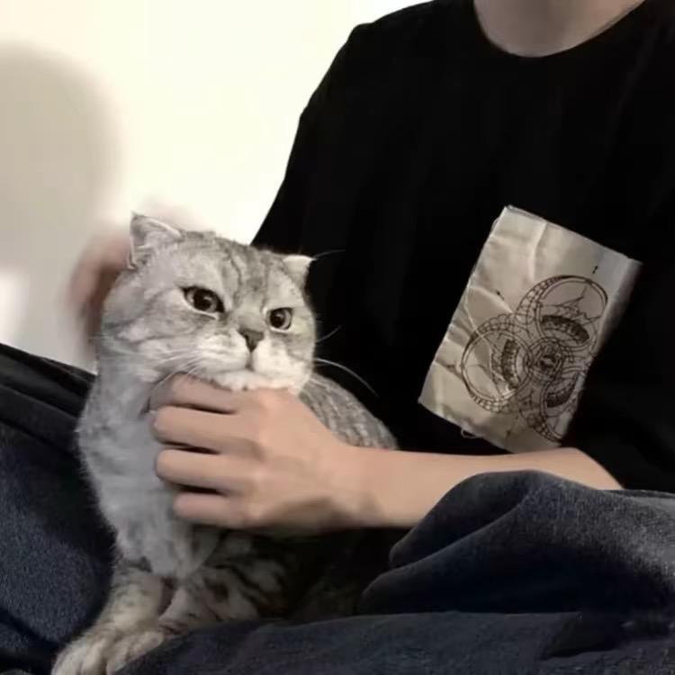 @歡歡 🫧