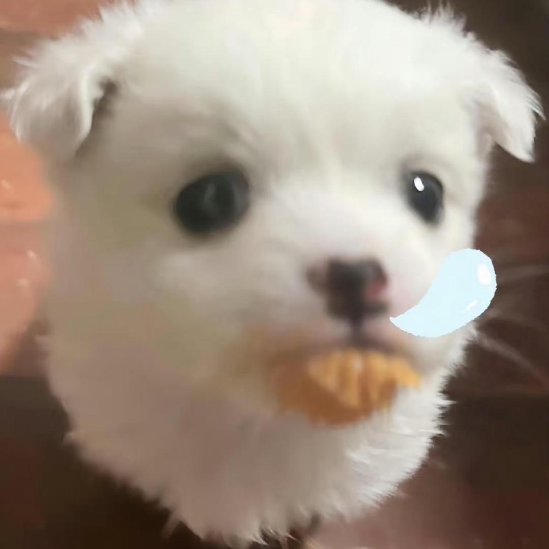 暴躁瓦龙