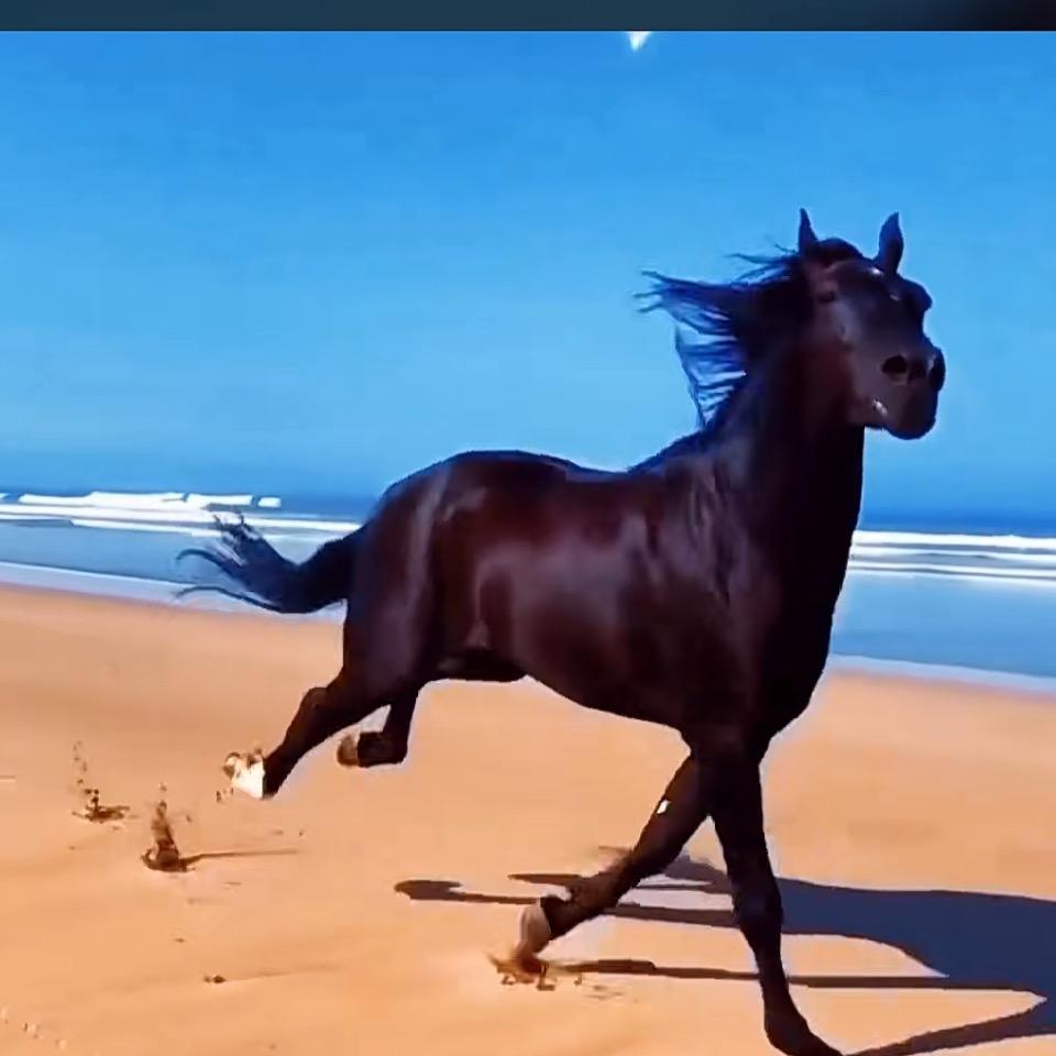 黑名单里的那个人