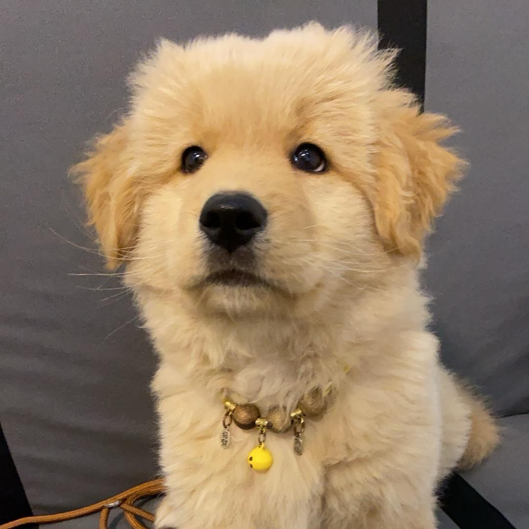 我是多多呀✌️