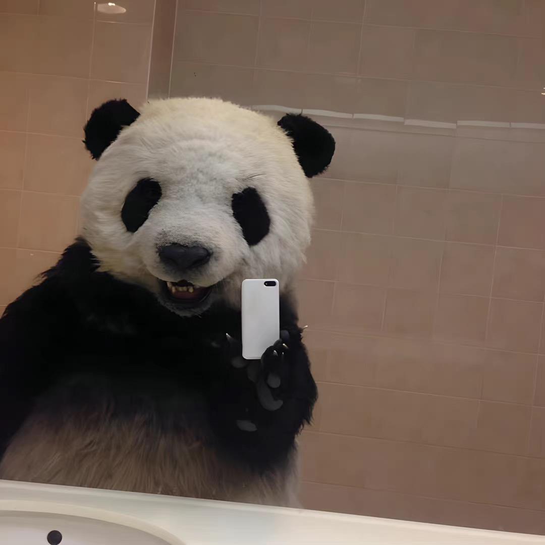 懵哼唧