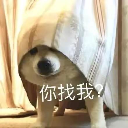 今天吃螺蛳粉