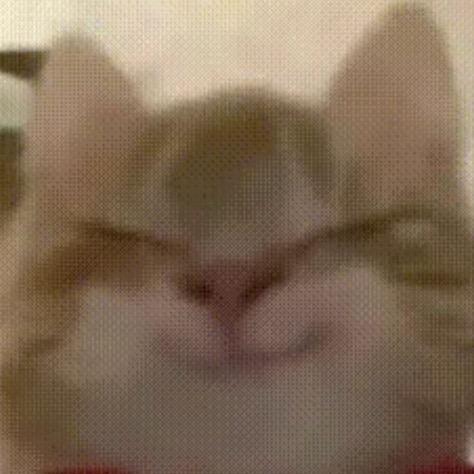 杜杜宇宙
