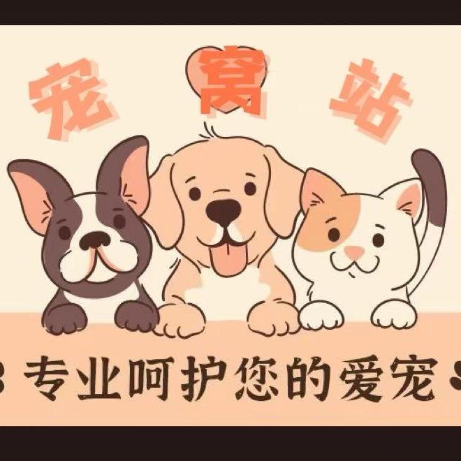 宠窝站