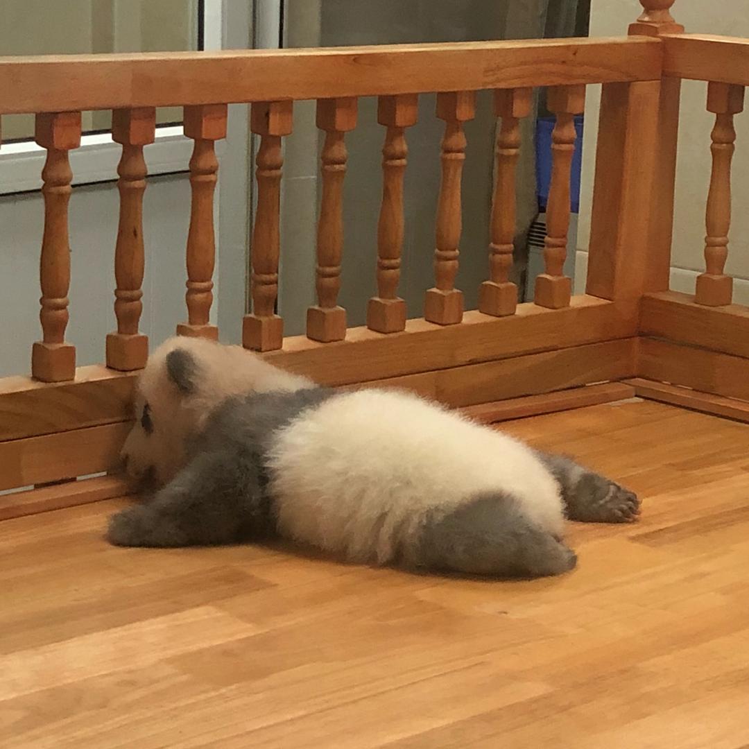 静静静静～～～～