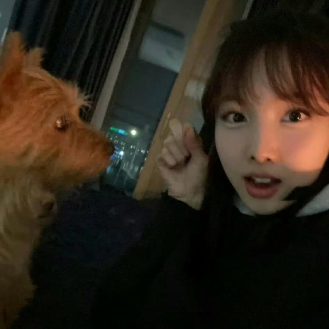 不是菜包