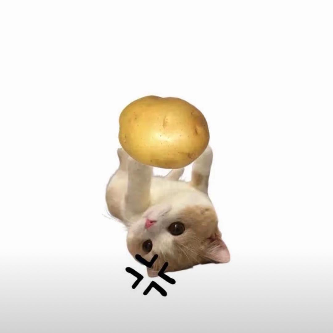 不准