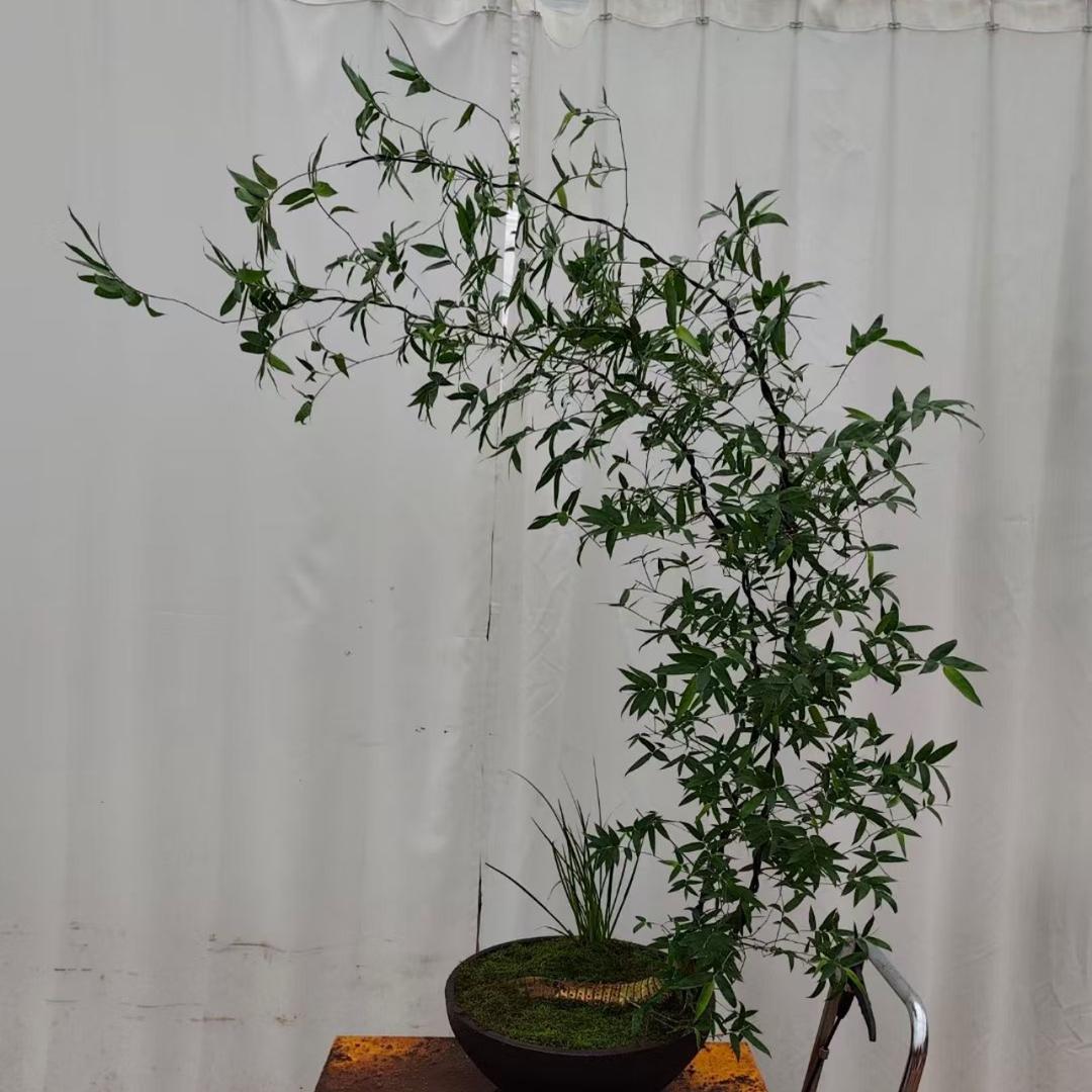 太原市晋源区温馨庭园花卉经销部