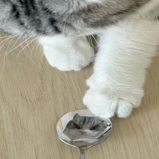 桃子电竞工作室