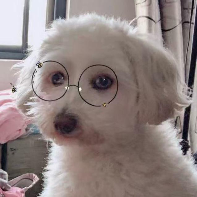 妞妞生活每一天