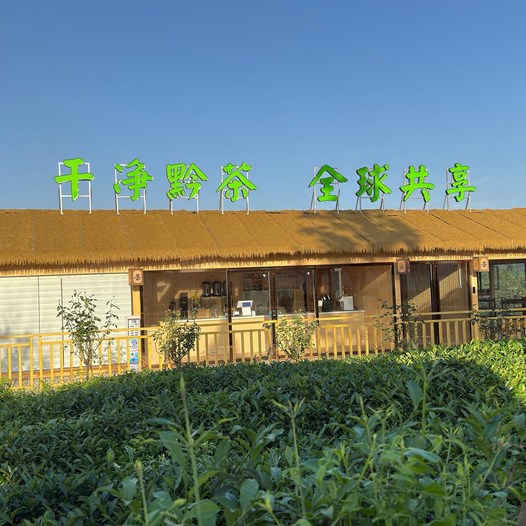 茶缘精研良品