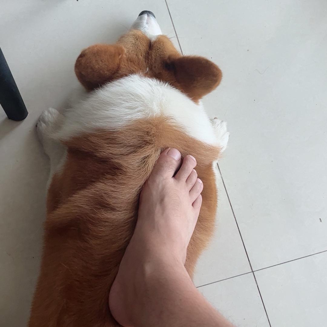 隔壁老李